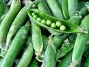 Recette Purée de petits pois nature (dès 4 mois)