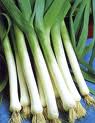 Recette Purée au blanc de poireau