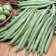 Recette Purée de haricots verts (dès 8 mois)