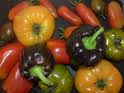 Recette Légumes du soleil et riz (dès 6 mois)